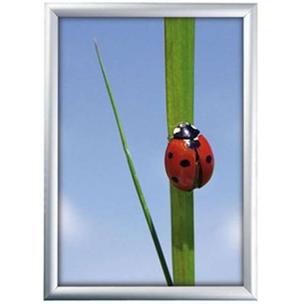 Klikramme med 25mm aluminium profil, sølv